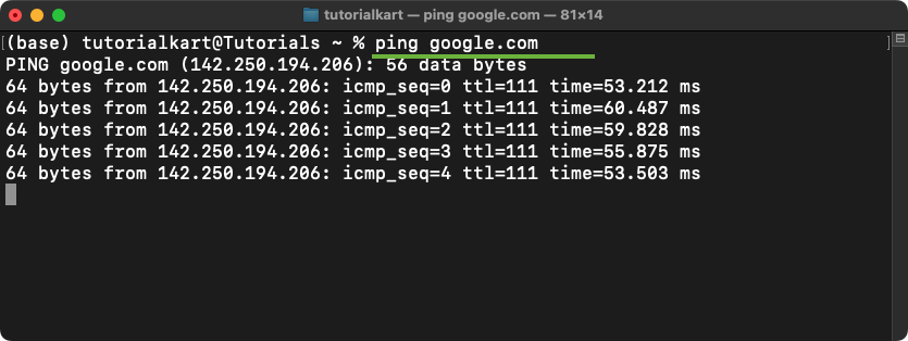 Test Internet Connection Using Ping in Mac Terminal